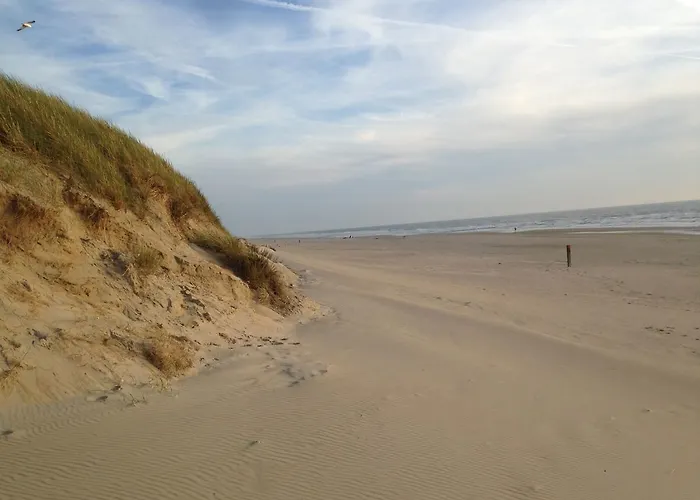 Chalet Beachhouses Texel *