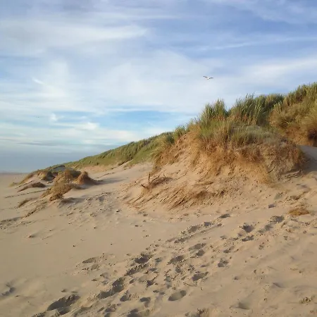 Beachhouses Texel *