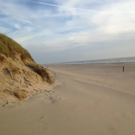 Dağ evi Beachhouses Texel *